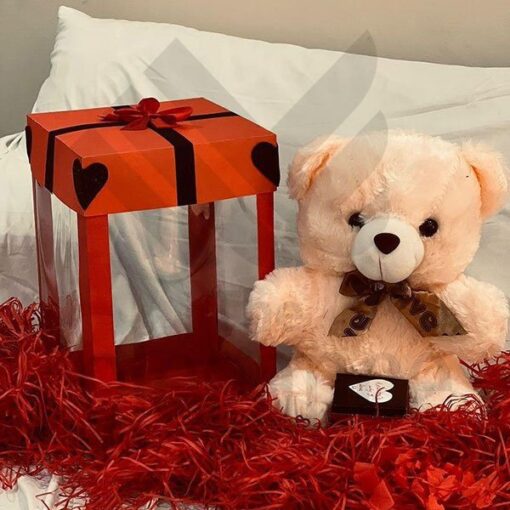 Surprise Big Teddy Bear Gift in Pakistan