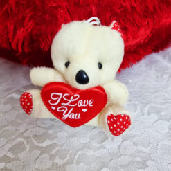 Teddy Bear Keychain Gift Online in Pakistan
