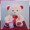 Large Teddy Bear Valentines Day