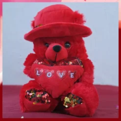 Red Teddy Bear with Hat Hug Day