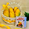 Best small mango basket