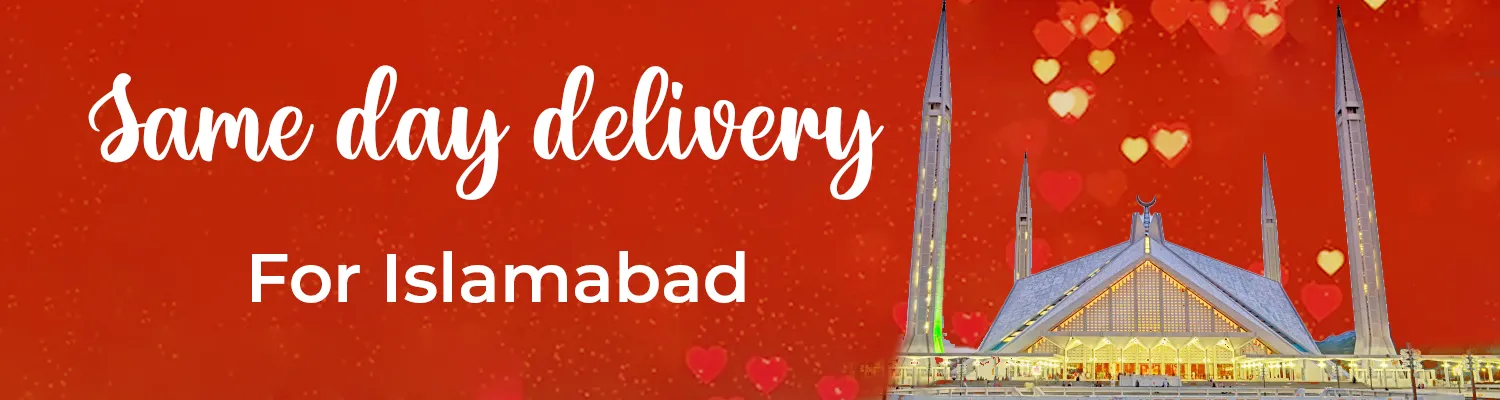Sameday Delivery for Islamabad